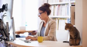 work from home